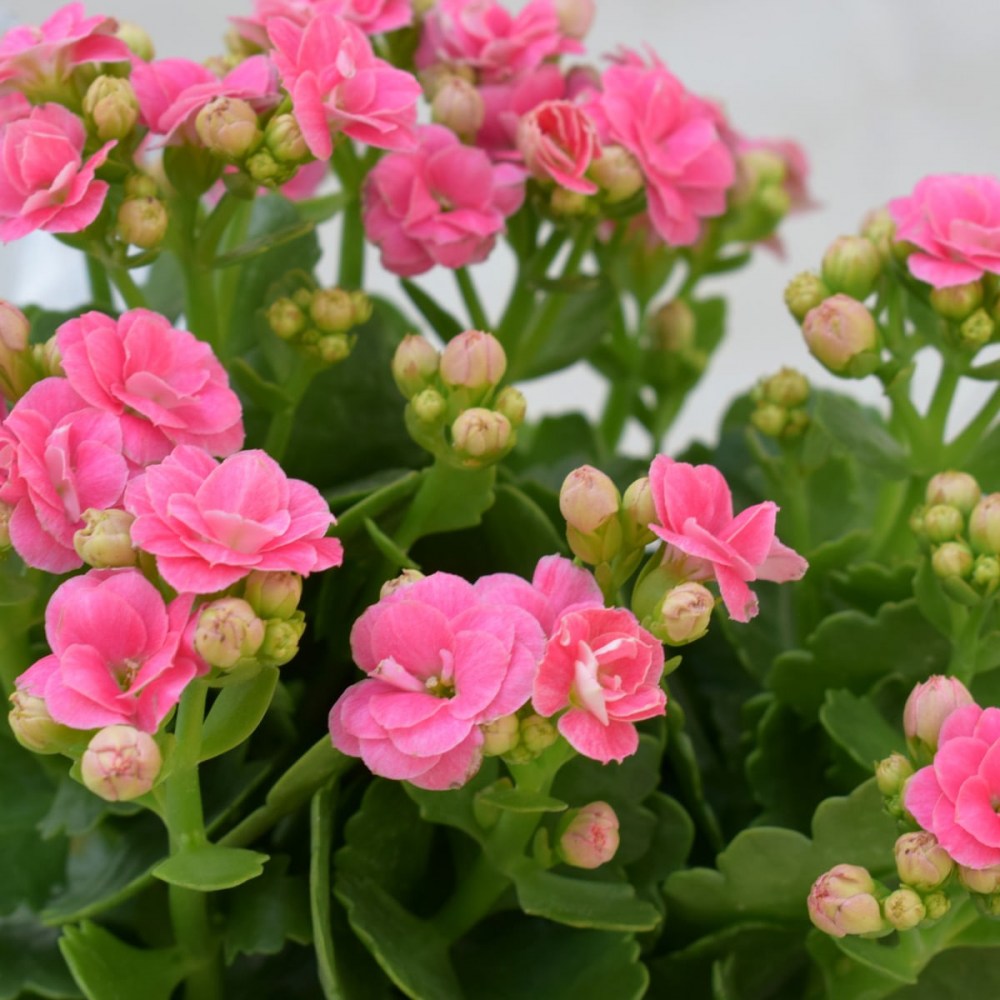 5f8e73a866d71286c0e3e83b64ac0418