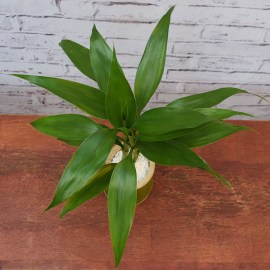 6193cd0a71900000323688ec0f17f21c