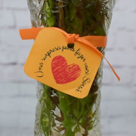 62a0e684f4178d1d5c7fa2f62af81d92