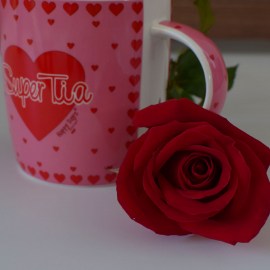 631aa8b8f2d54419c11e4372c6334d73