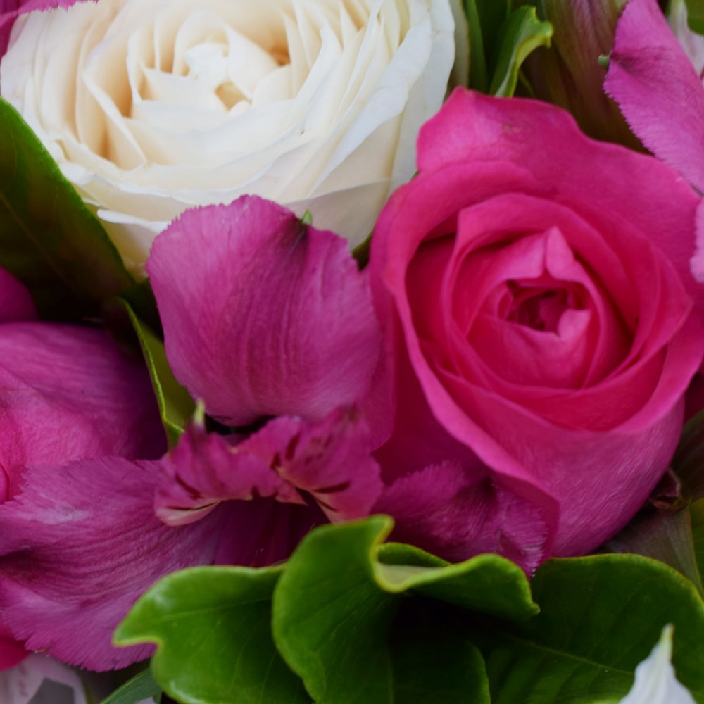 63f03fb76e16380b7824f05037ac8b15