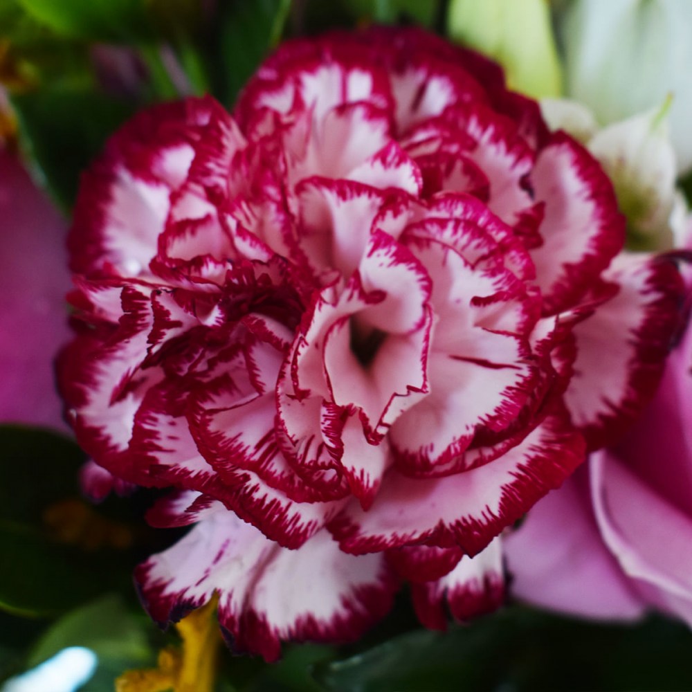 6aa99b6b188a82f49e69965e4666c033