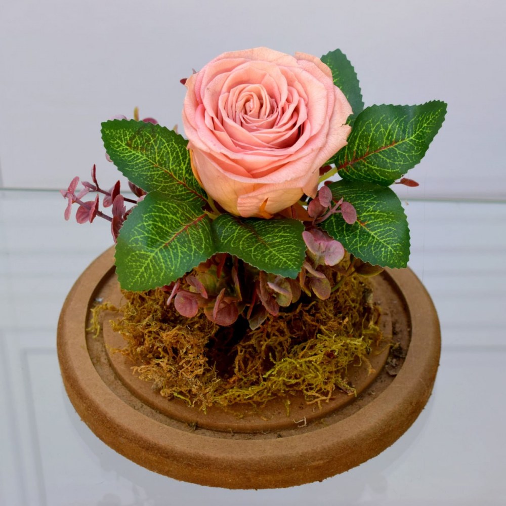 6b59a98dca15a0eb7ec4ac4452019dcf