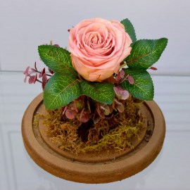 6b59a98dca15a0eb7ec4ac4452019dcf