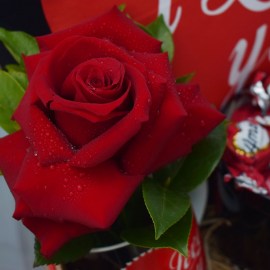 6dfca314577a186948a1600bcedc5e07