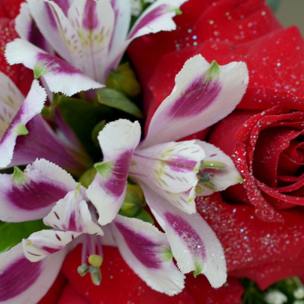 6eefe1acccfbff1d0dcf3453db239b3e