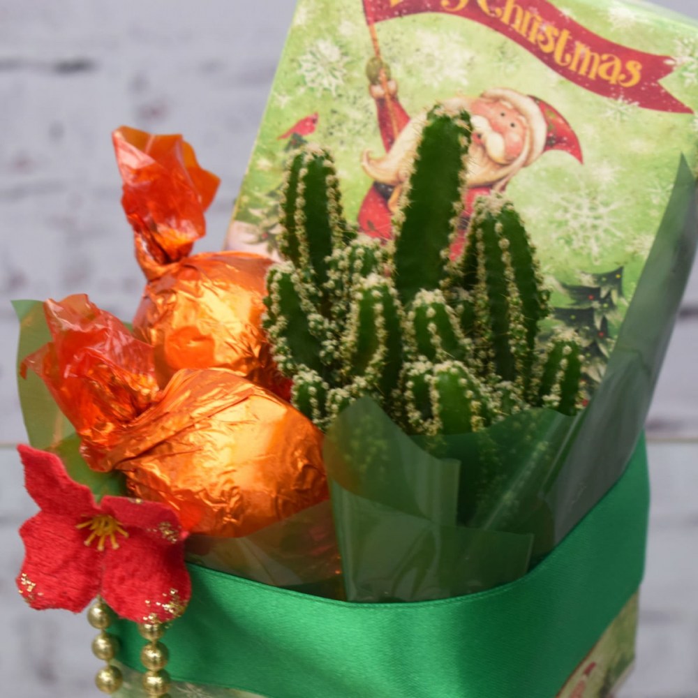 70dcc2282504a84bcb085cb6421a9e86