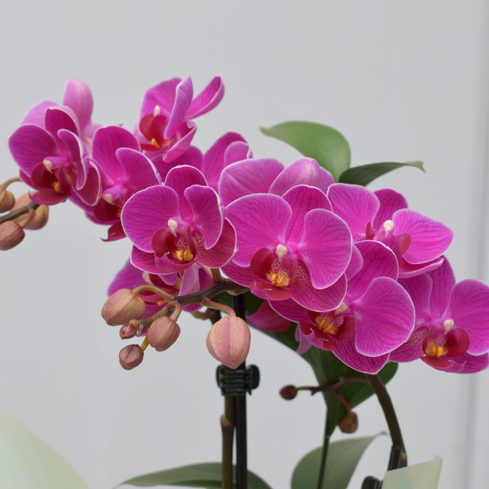 70f625f1395f62ae9e08ff7a1c06f470