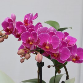 70f625f1395f62ae9e08ff7a1c06f470