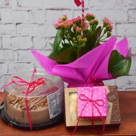 72153f0bc43bc50f5c0c0a2385a931f9