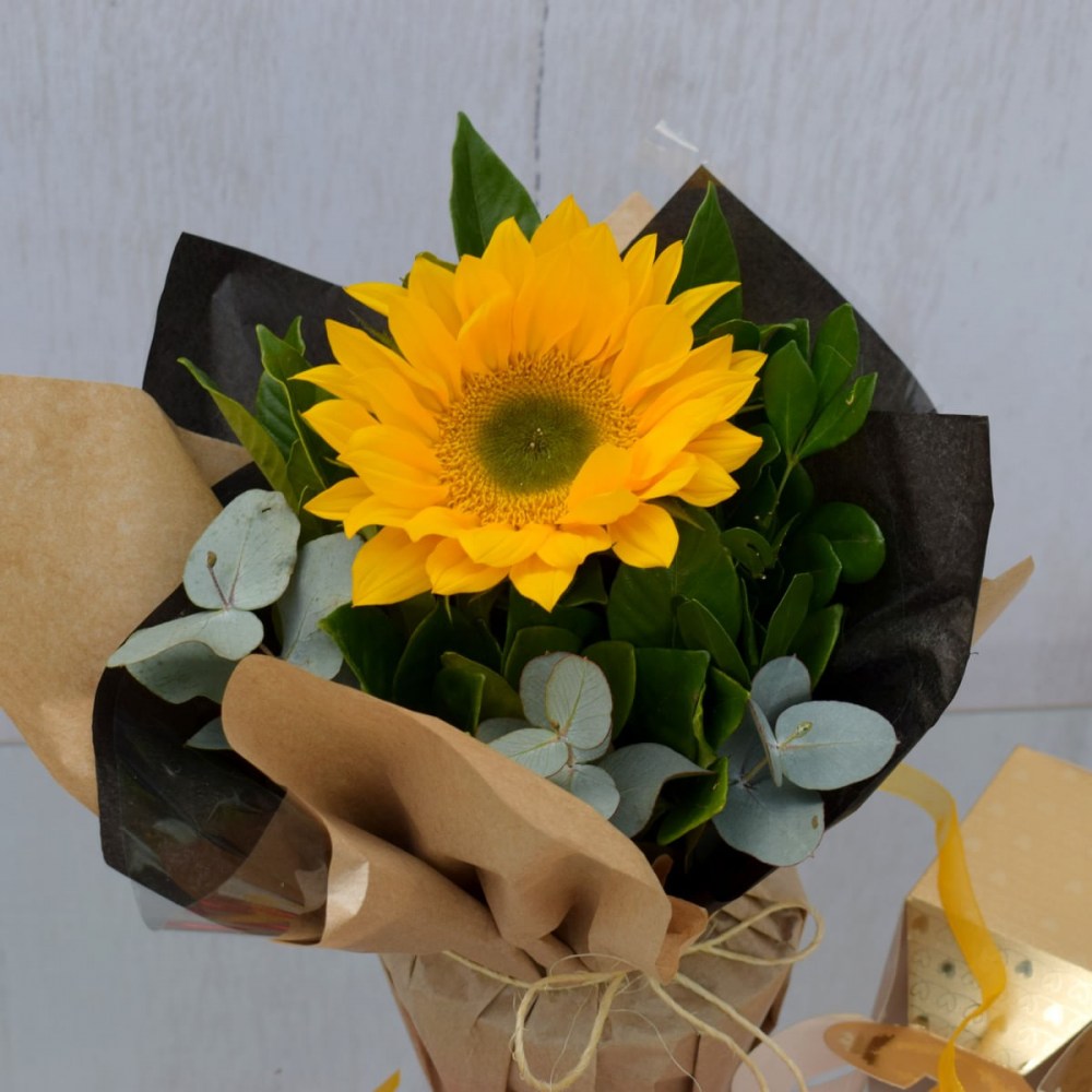 721a71f3a18e4e36e29fe43cf6371c9f