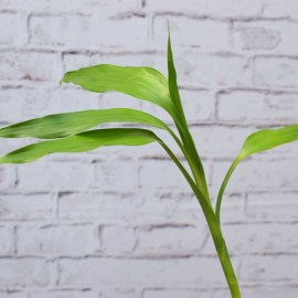 728ecf43f8c96237cff3afd179fdee35