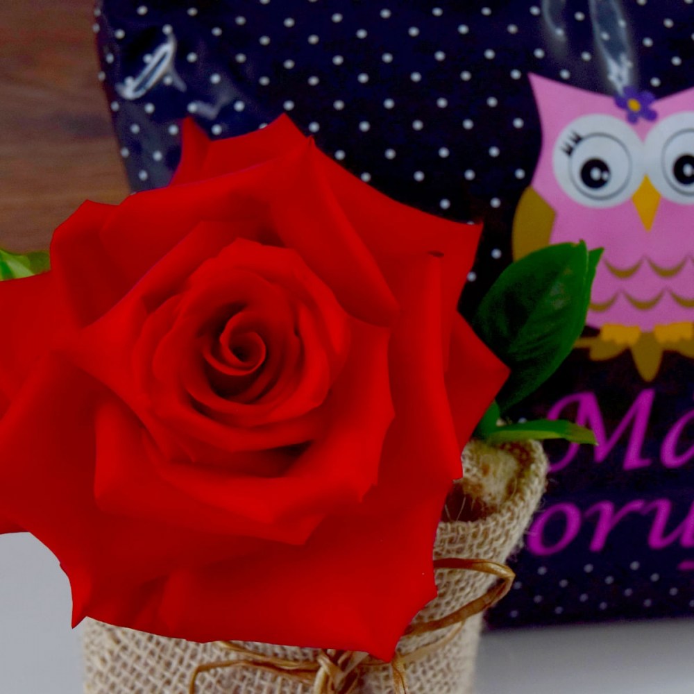 73dff15bb02fa8640330644069db73e9