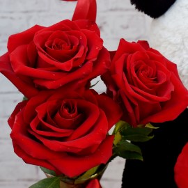 75e804939640d3fdd45d6c7a468e3dd6