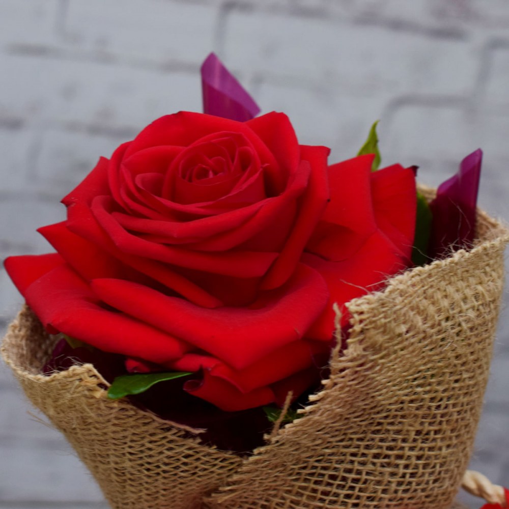 75f53330f1da0eede9639267fd37c38e