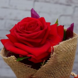 75f53330f1da0eede9639267fd37c38e