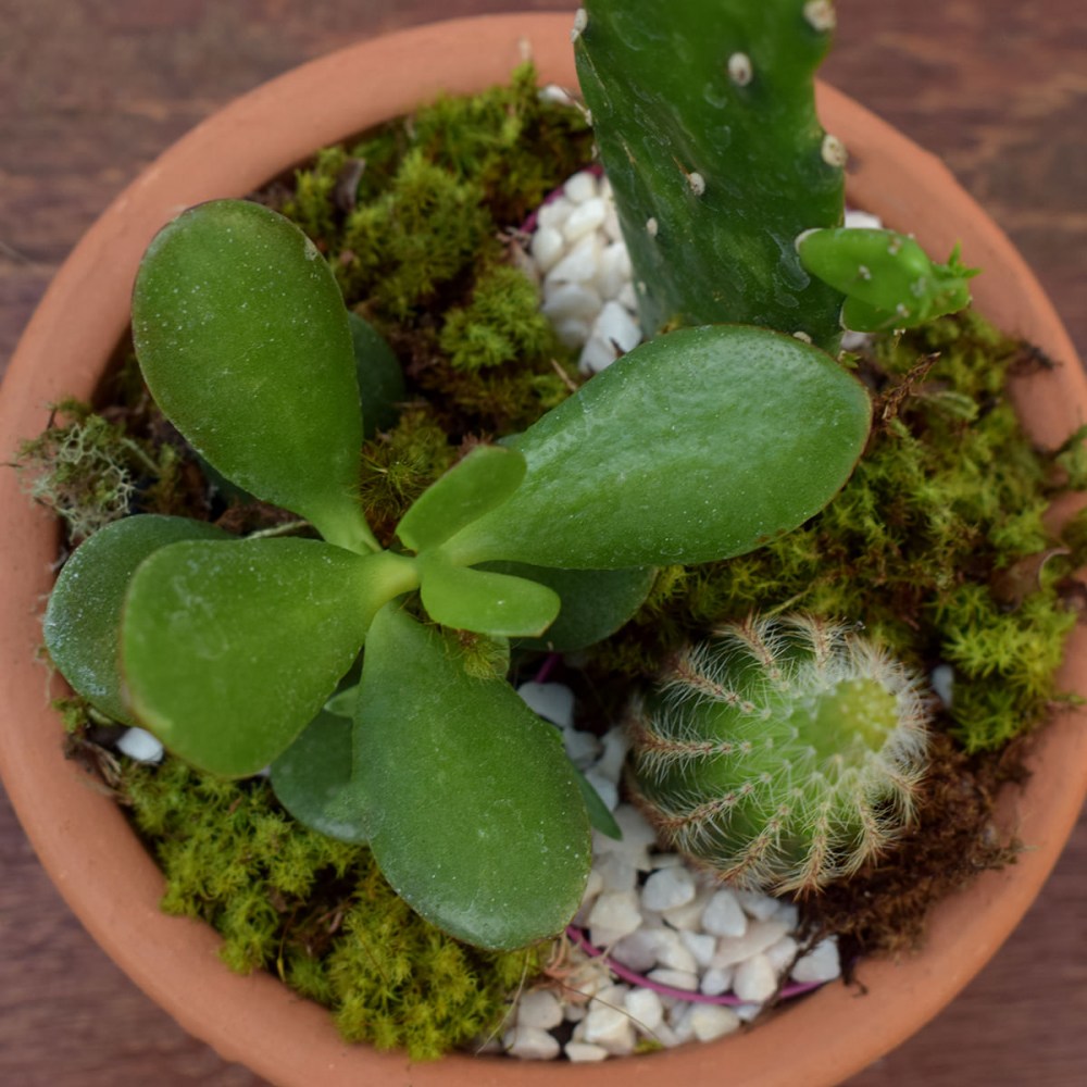 777007e36760f6996f67509f8638f4f2