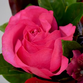 787317f355e8bb250b64ecdaf0d3cb6f