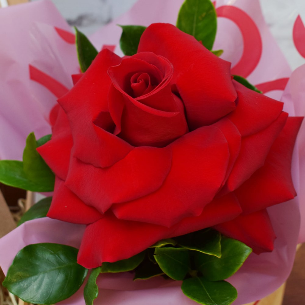 79878f09076ddfbbbec0bf7f594fd11e