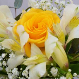 7c0b746bb549f0ff7dfa78f52886cbee