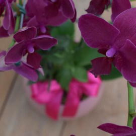 7d4bcc2e668420f65dba47bfefe5c8d3