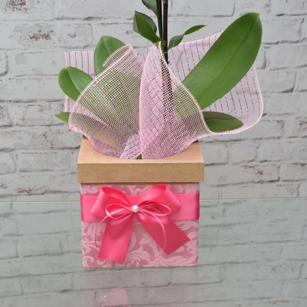 80c2a9e5866d21fbfa6ec96cace81054