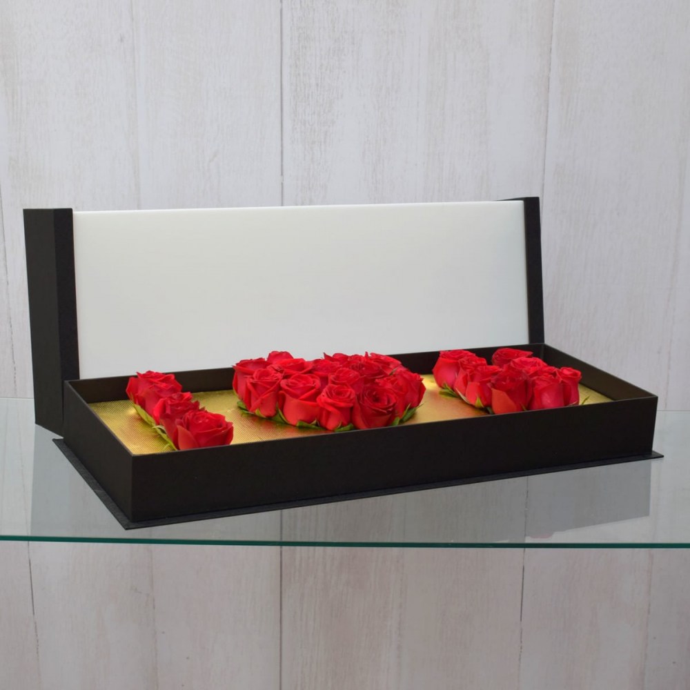 838affbfc6540c373d671b856b2fbdf8