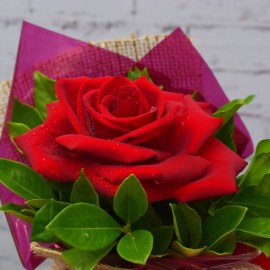 8533ed9b423c62315fb58e26409e63ad