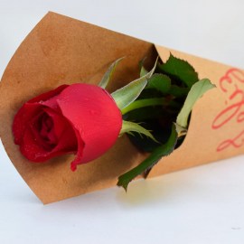 86aa11f7a30a30a8fb001232d3ce9423