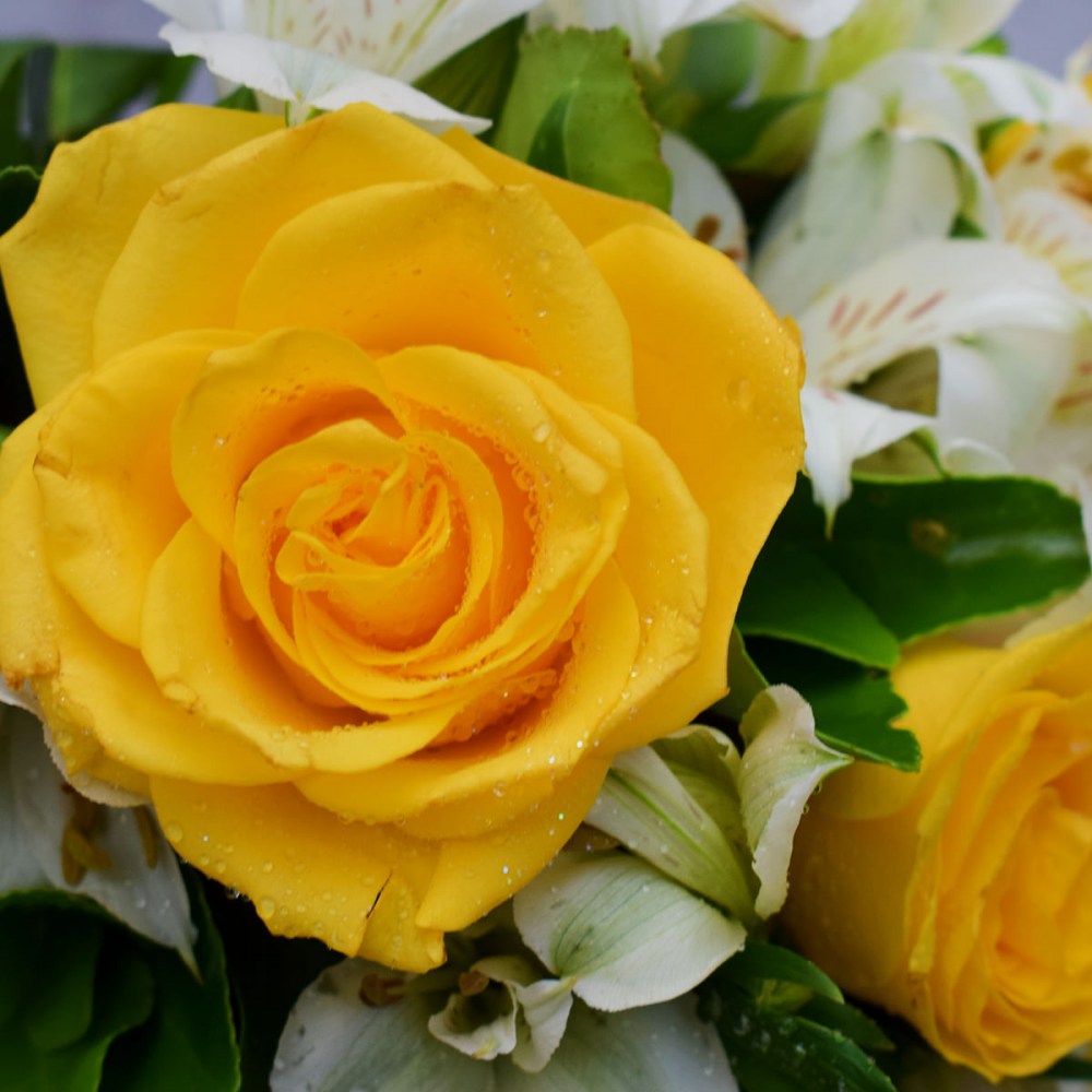 8894d30dfeba5e00c26fad62f5b52423