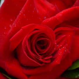 89abe9a855dd0f096d869bc35b0ba059