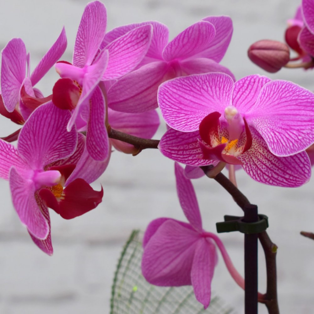 8b65920c6f3b3eaae39155bb6235be39