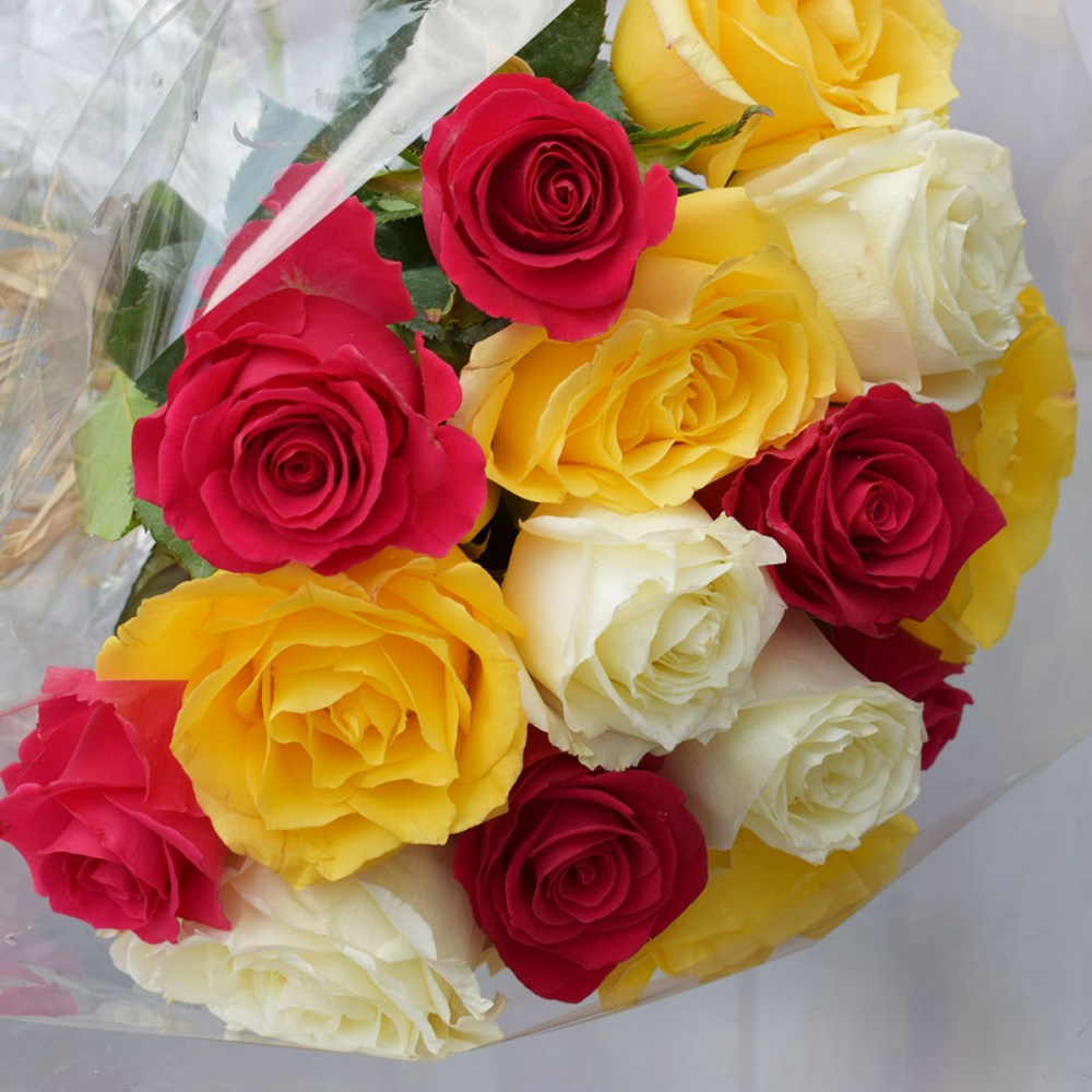 8d04d44a59743b1ad5ee37ed414b064d