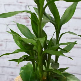 8d71fa695b45d885686e8a05ddae3470