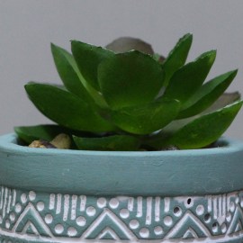 8e0404961ab506bfb613086af3a1c9f7