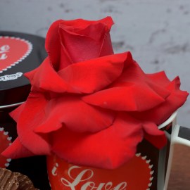 8e47edde2e0b8a7b5bf38e0836ddbeb4