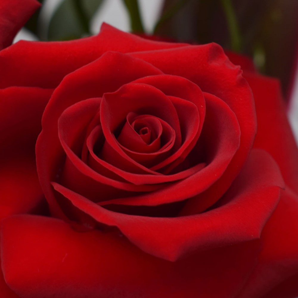 91a034f8163ce4a6100c32f714fd1e0d