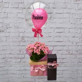 91adc21e3e9f1d9081928a061551c93f