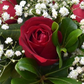 92083b3bf29252208180a0f42de2a414