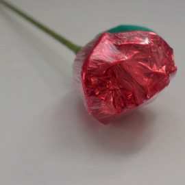 925610adeb7a71a3d753d5b94b5b815c