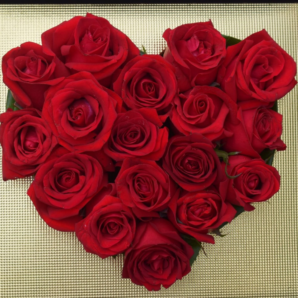 92d03f8a9aabf708a8e5d42bf5bfbe37