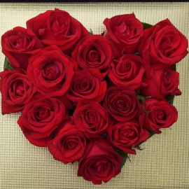 92d03f8a9aabf708a8e5d42bf5bfbe37