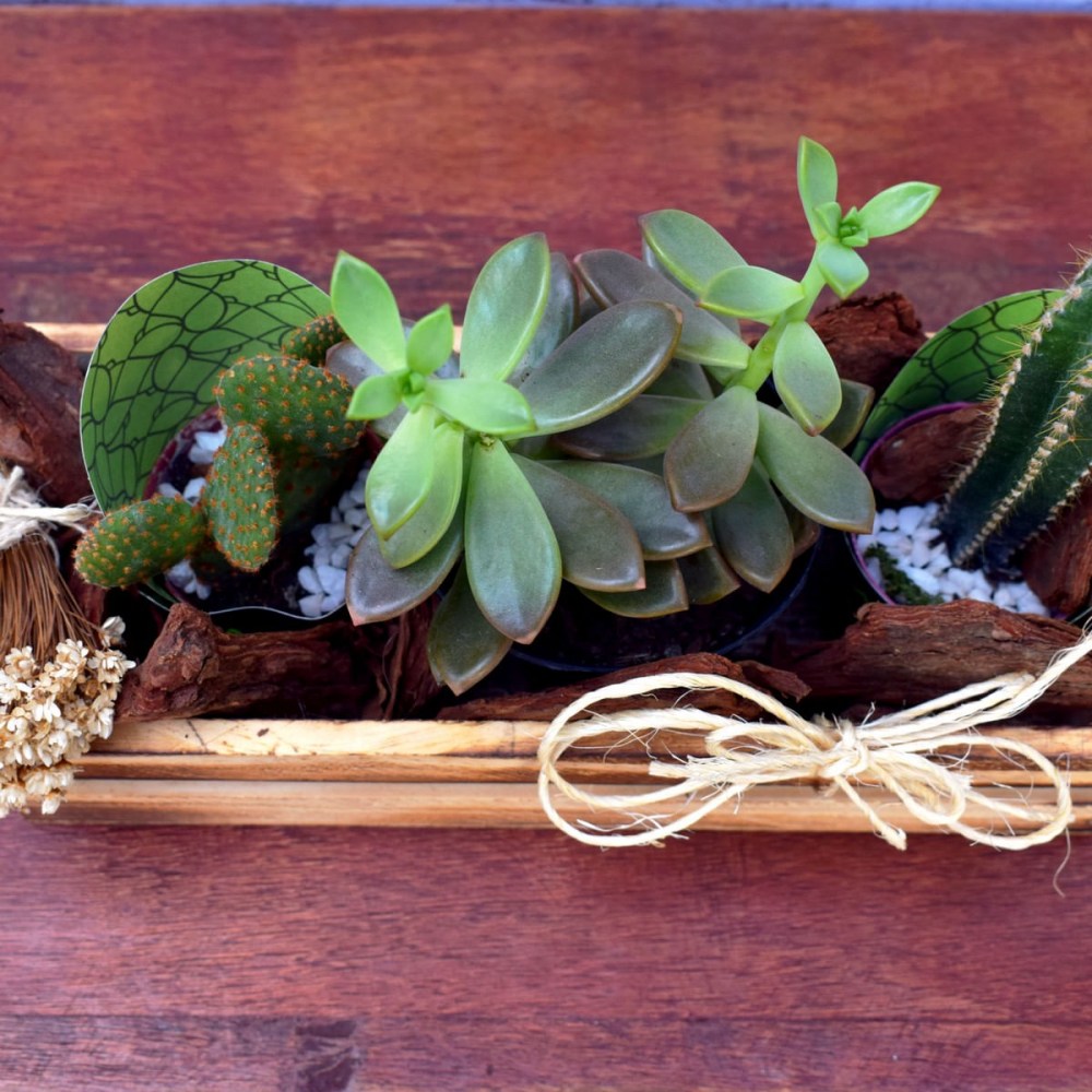 9721e78d8c765c3cf1b6dfe6dc18f66d