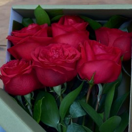 9792256e63a8d35cdfaabf07fafcbfd4