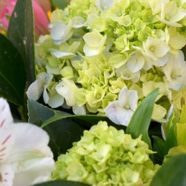 98ac02380506bd2a97e223f38772b71a