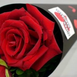 99a94b1b711686f33ec13b95fd167ba8