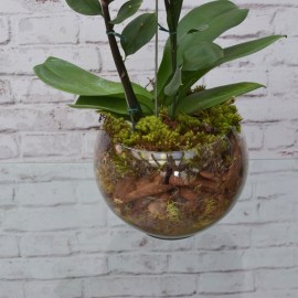 9a41becc8bca84928b070c1fb39a194c