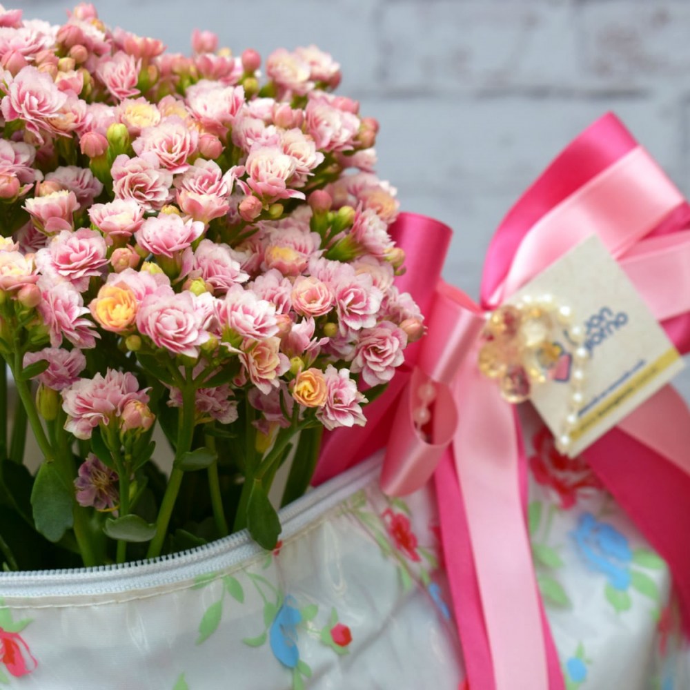 9bae78ea6e6c805e103977ac458cdec8