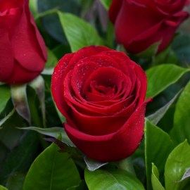 9c60c4eac0825da864aa7eefd1c21659