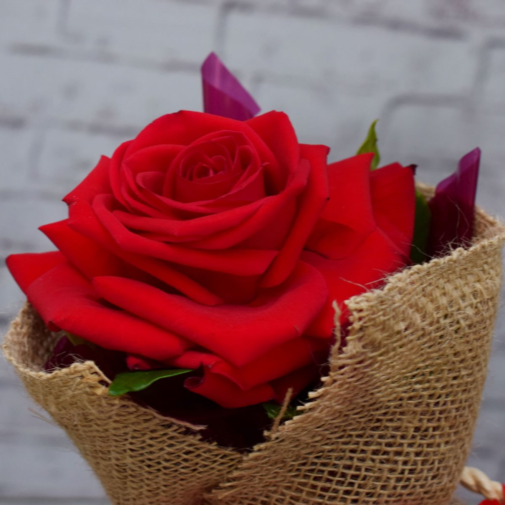 a211d44649bd5369199c9ce20738ea4e